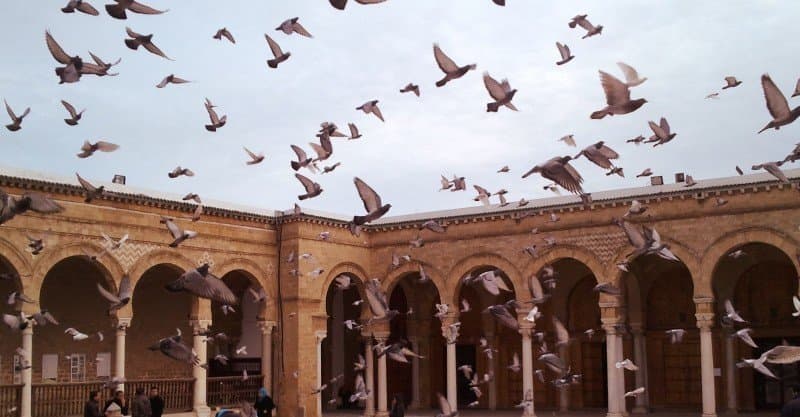 الهجرة النبوية: الصُّحبة شرطها