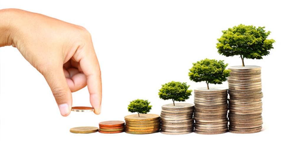 المبادرة الحرة في الاقتصاد.. بواعث وضوابط