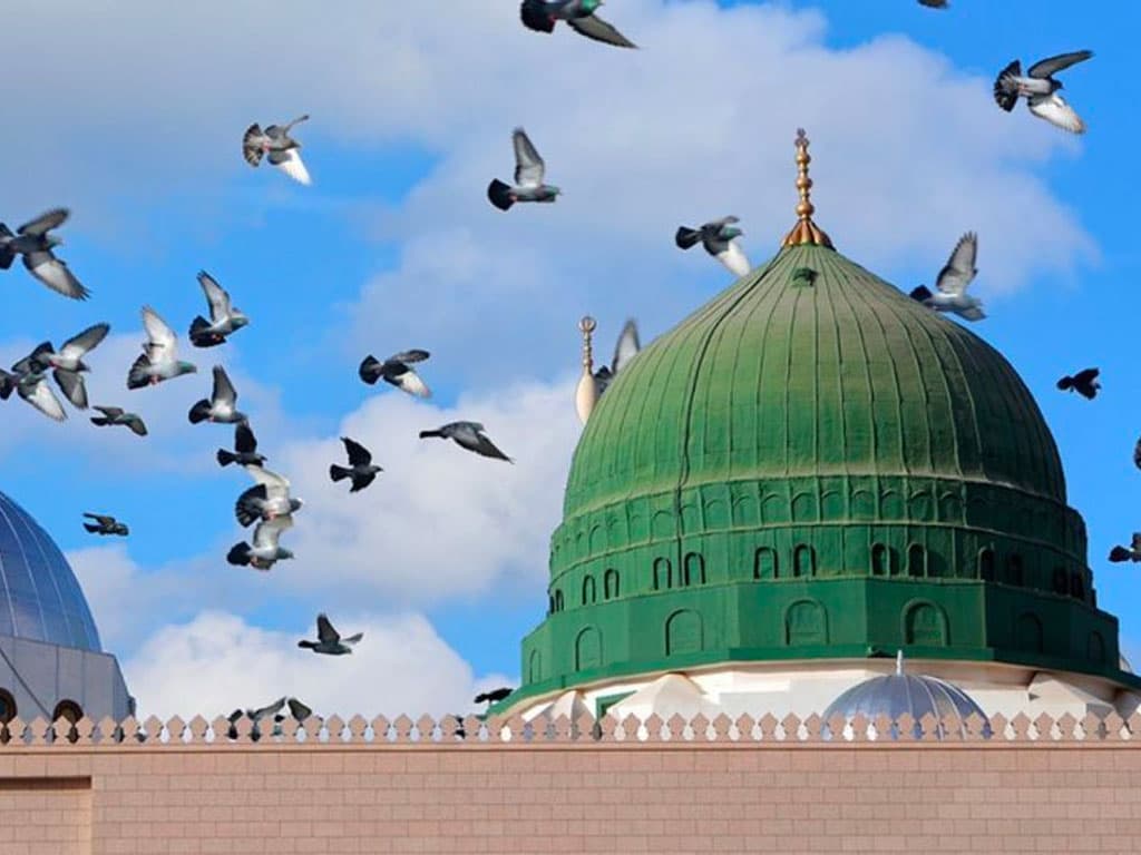 الرسول صلى الله عليه وسلم يعلم الكسب