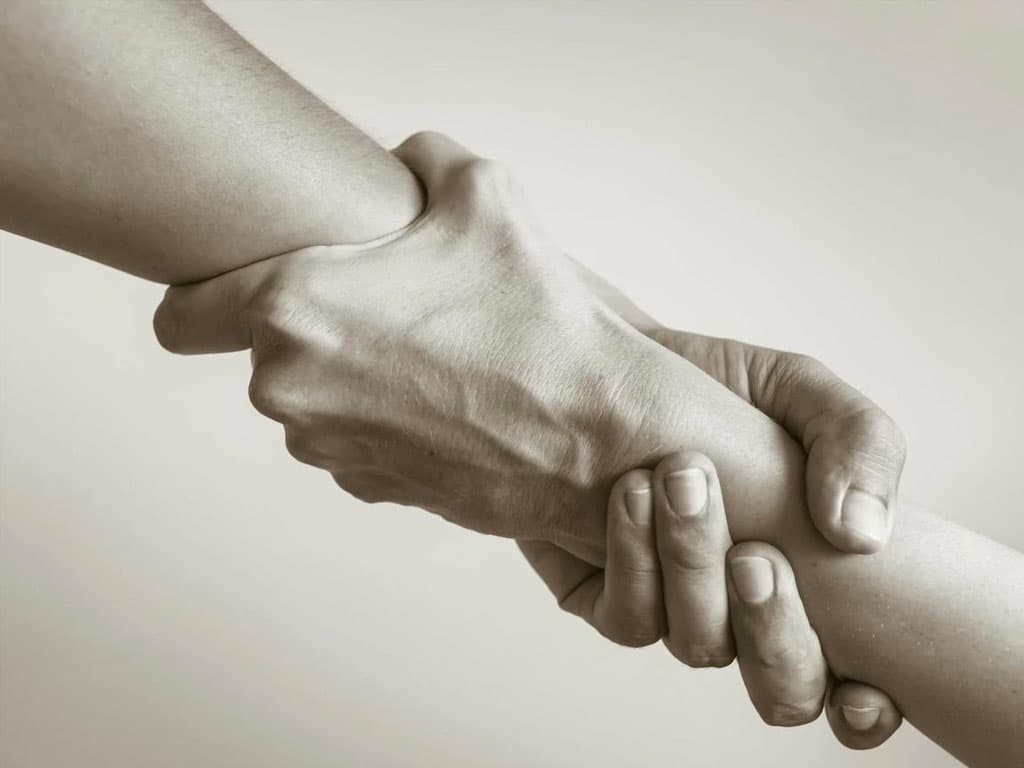 بِر الرَّحِم الآدمِيَّة