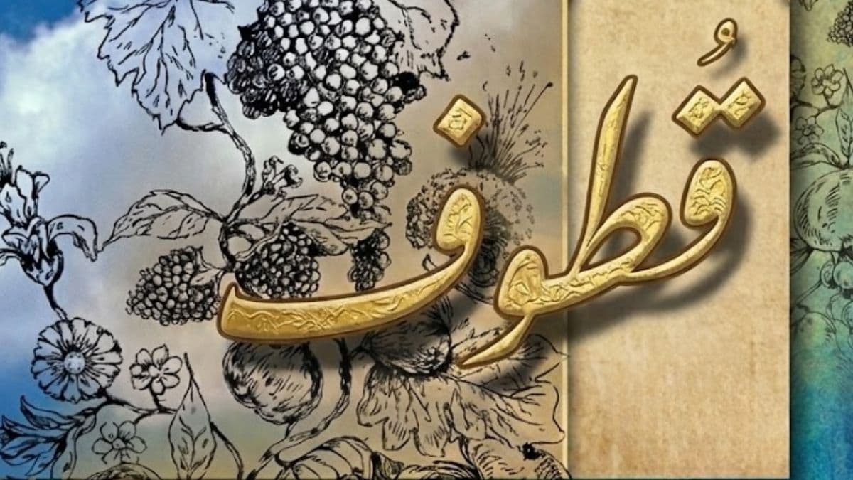 اللغة العربية في المتن الشعري لعبد السلام ياسين: دراسة تحليلية لنموذج ديوان قطوف